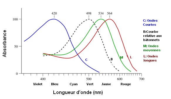 Graphique de dtction des cnes